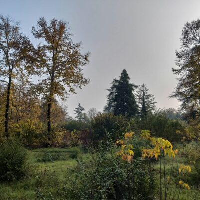 Assemblea Bosco Ospizio